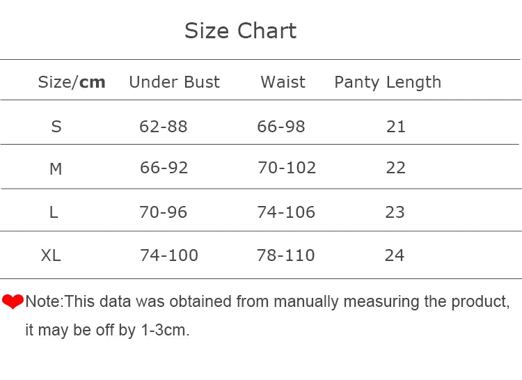 Ultra-Sexy Transparent Lace Lingerie for Women – 2PC Embroidered Set