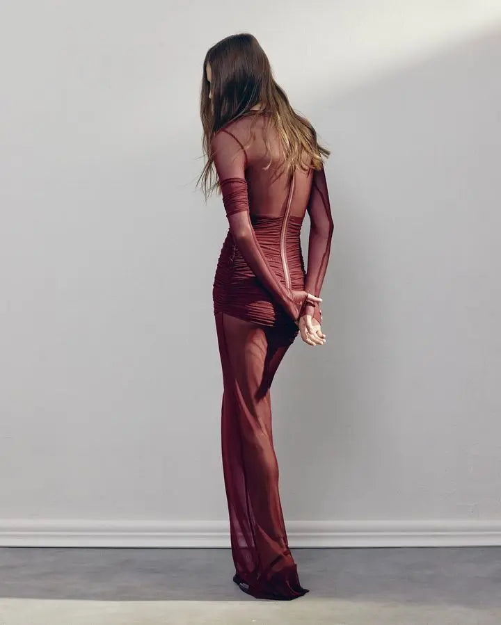 Elegant Autumn Party Dress – Sheer Mesh Long Sleeve Bodycon Look