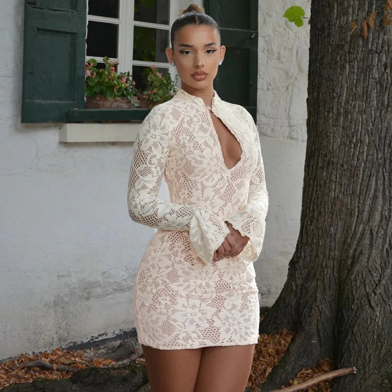Elegant Lace Long Sleeve Bodycon Dress – Club Party Edition