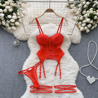 Women’s Erotic Mesh Underwire Bra & Panty Set – CHILLGIO Intimates